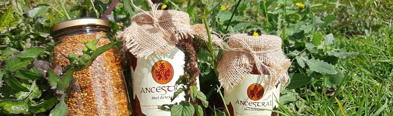 Ancestral miel artesanal