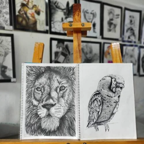 Academia De Arte y Diseño Elimelec