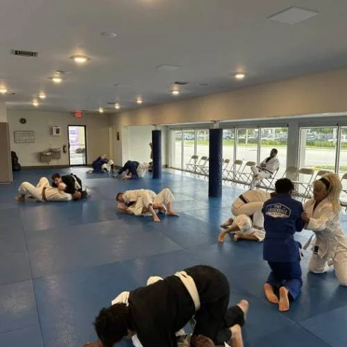 Self-Defense Jiu-Jitsu