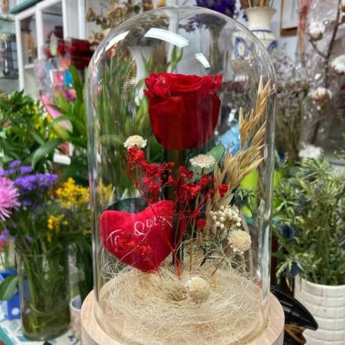 García-Morato Floristas