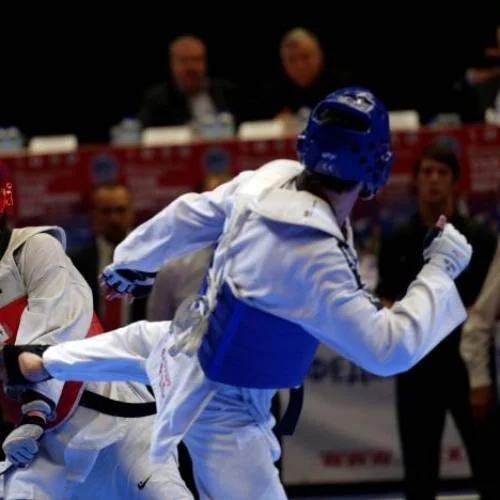 Taekwondo