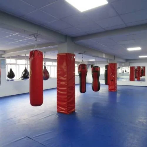 Gimnasio Olimpo's
