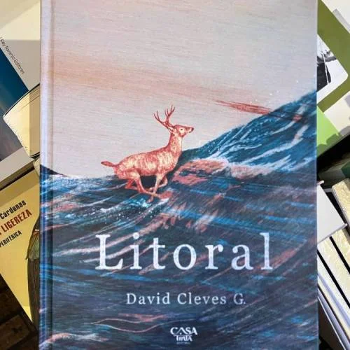 Matorral Librería - David Cleves
