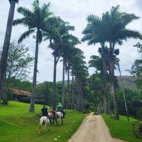 Paseos a caballo