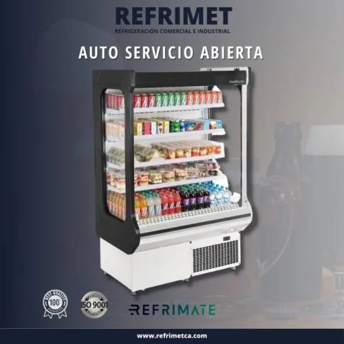 Nevera Auto Servicio