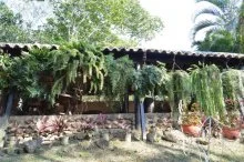 Centro de Sanacion Holistica 